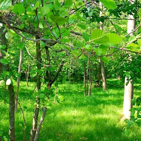 Appartamento Lake Maggiore In Cascina Armonia Angera